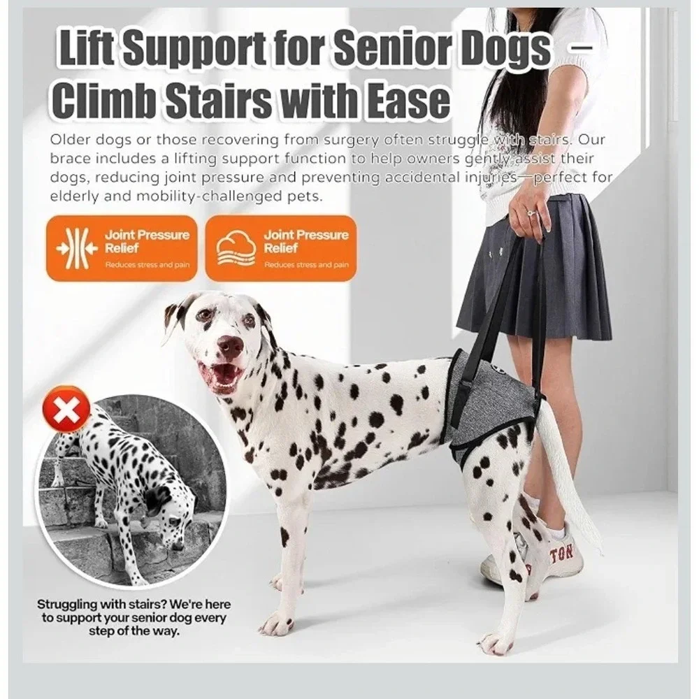 AOOLMOL Dog Lift Harness XL Rear Support Sling for Injured Elderly Dogs Gray